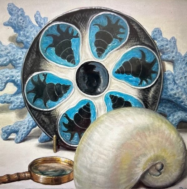Nautilus